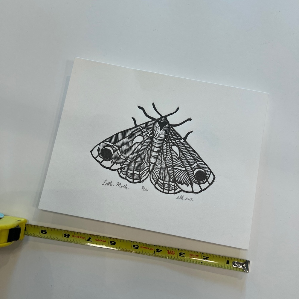 “Little Moth” 9 x 7 Entomology Block Numbered Print
